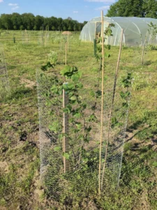 Boom E29 – 2021-05-30