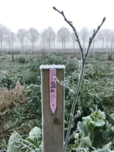 Boom F10 – 2021-12-11