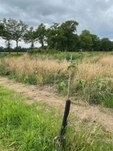 Boom H19 – 2024-07-07