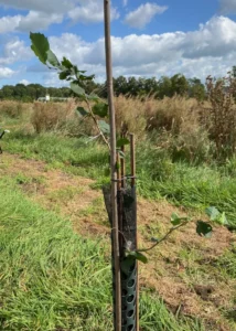 Boom H24 – 2024-08-21
