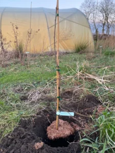 Boom V36 – 2023-01-28