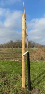 Boom W1 – 2023-02-13