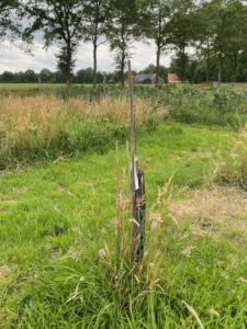 Boom H24 – 2024-07-07